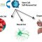 long-term-self-renewal-adult-cells