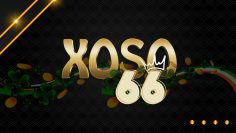 Xoso66 Updates the Latest Online Lottery Results Today